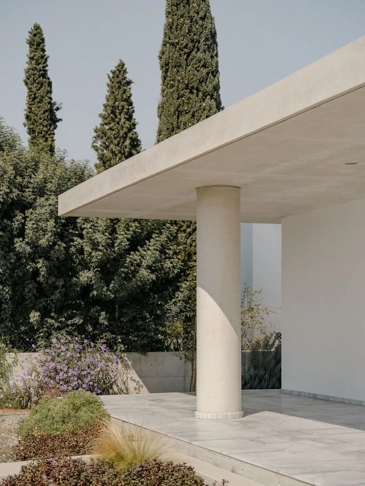 Sculpture like exposed concrete runs through the entire narrow rectangular flat design