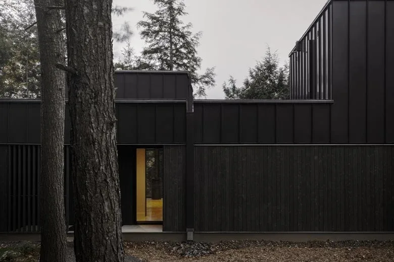 Composing a harmonious melody between architecture and nature among the treetops, with biological details in the design of a vacation home