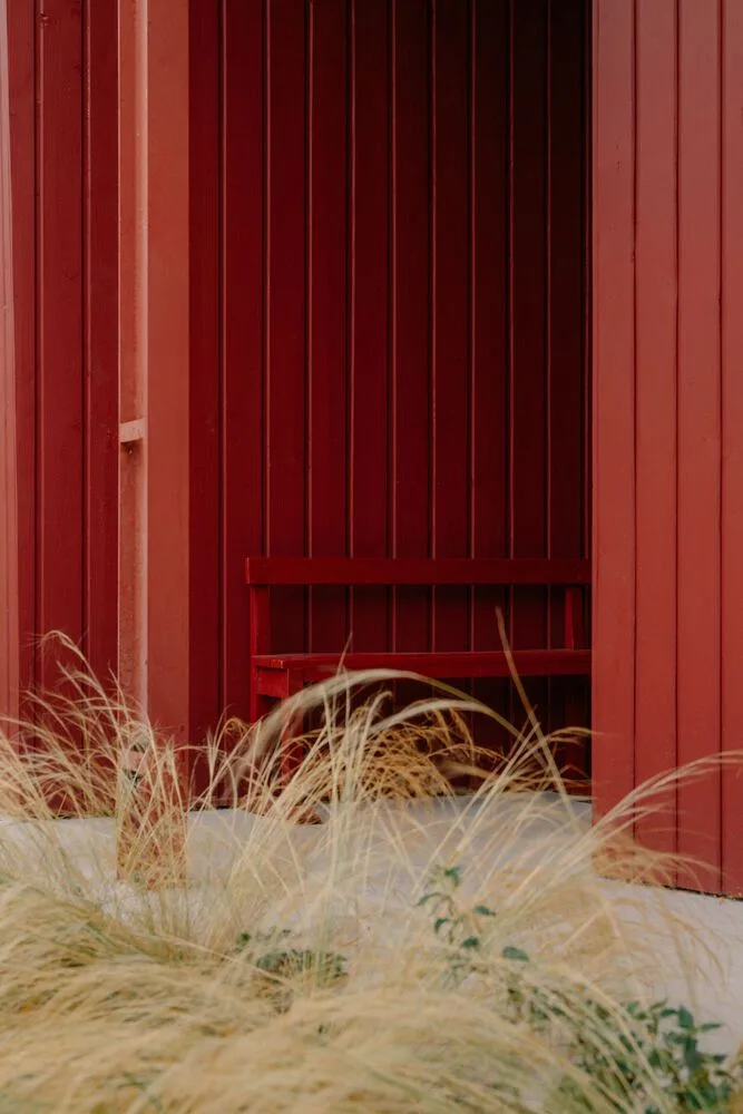 A serene vacation home design with red gemstones hidden in a lush and magnificent environment