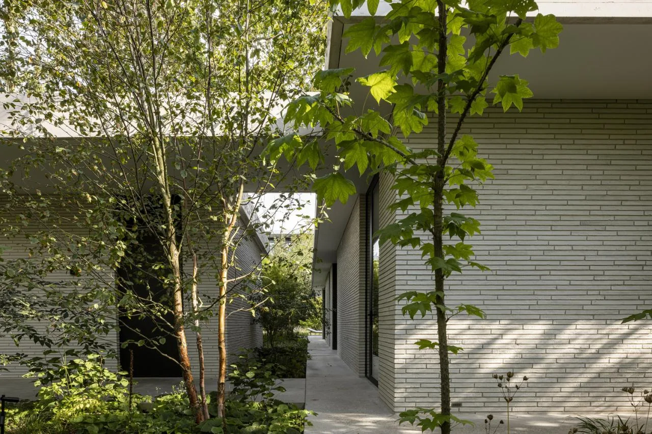 Encountering Hidden Villas on the Dutch Coast: A Feast of Nature, Architecture, and Art Design