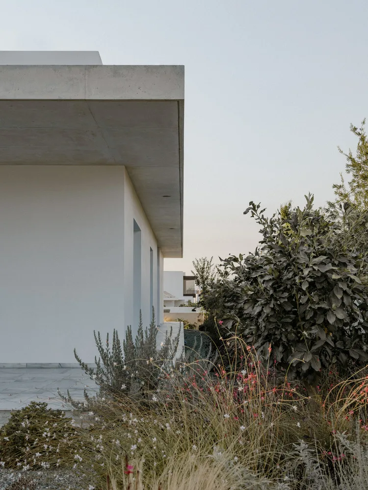 Sculpture like exposed concrete runs through the entire narrow rectangular flat design