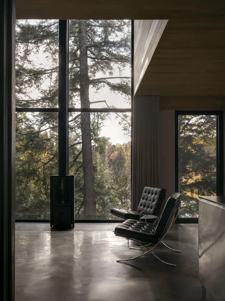 Composing a harmonious melody between architecture and nature among the treetops, with biological details in the design of a vacation home