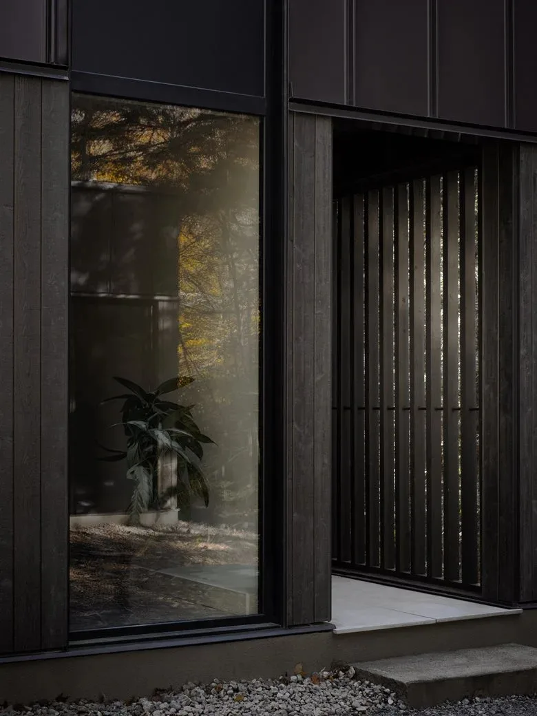 Composing a harmonious melody between architecture and nature among the treetops, with biological details in the design of a vacation home