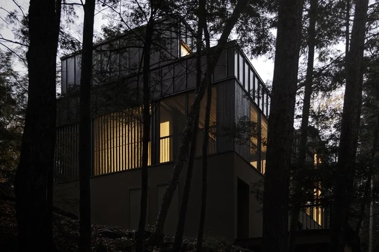 Composing a harmonious melody between architecture and nature among the treetops, with biological details in the design of a vacation home