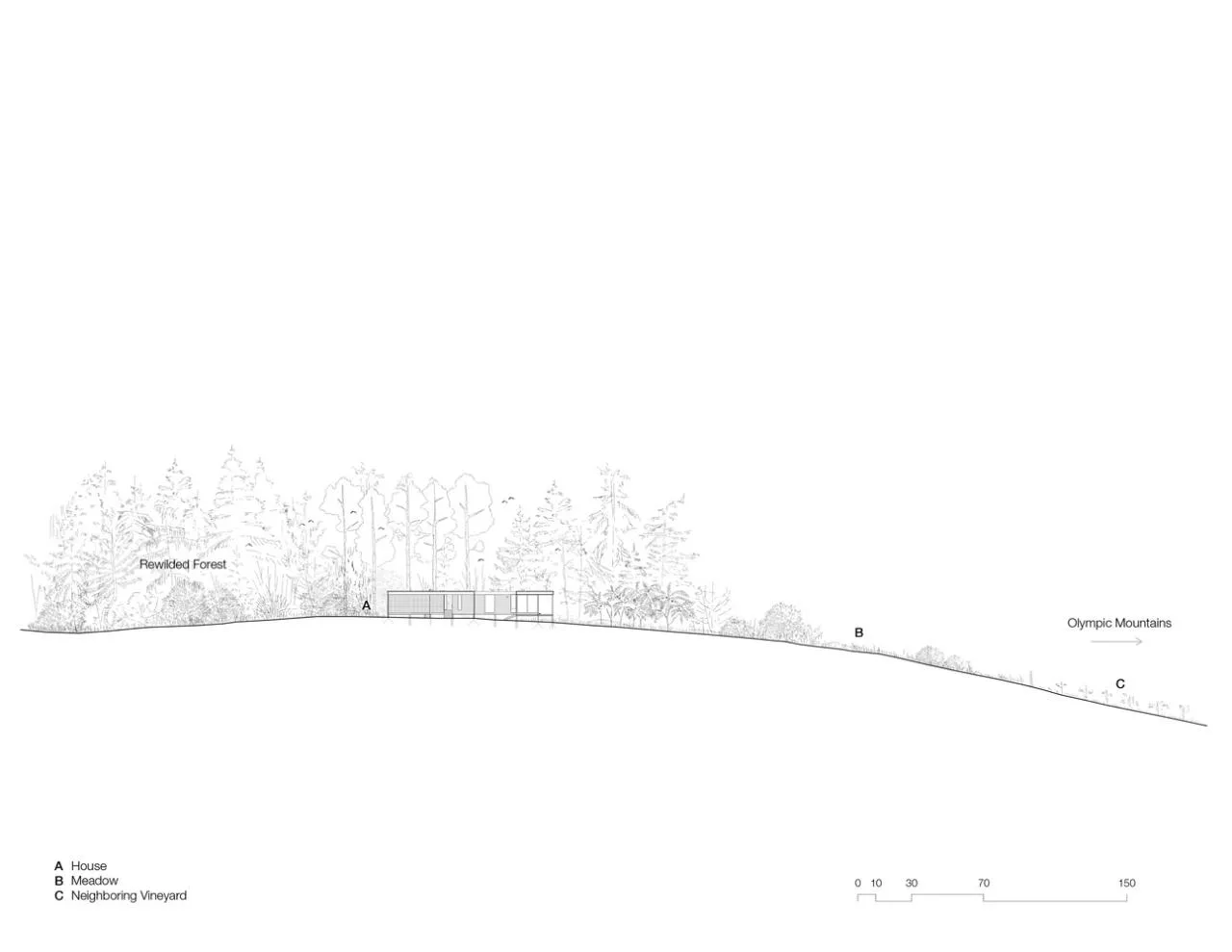 A meditation house floating on the grass, a vacation home design for Zen meditation